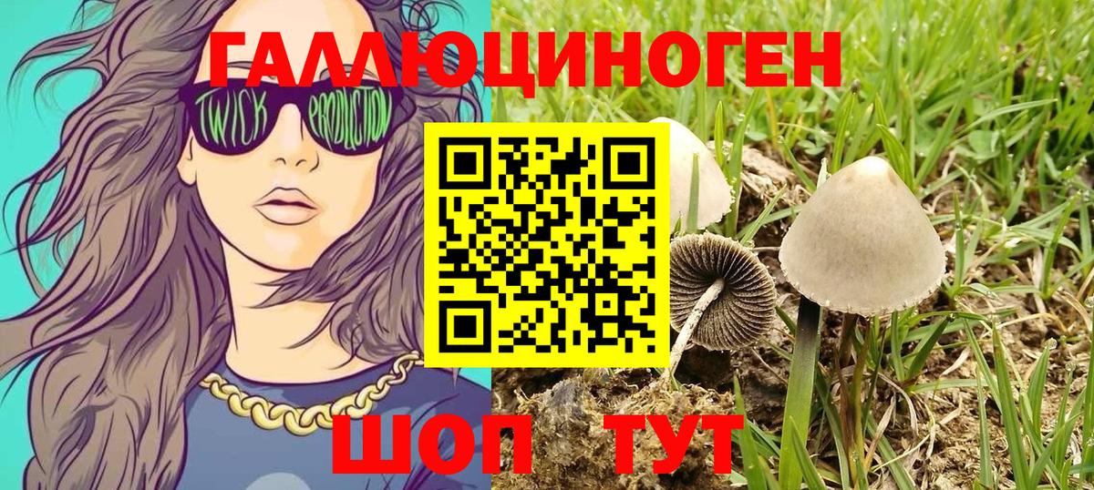 Волоколамск  Псилоцибиновые грибы MAGIC MUSHROOMS  Псилоцибиновые грибы ЛСД  Вход с VPN 